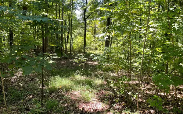 Hayesville, NC 28904,11B Grandview Drive