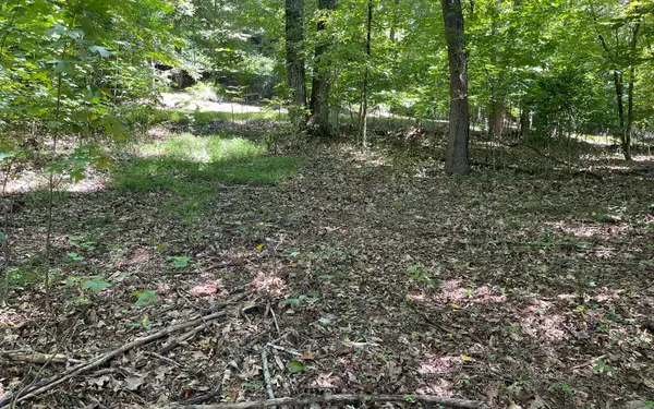 Hayesville, NC 28904,11B Grandview Drive