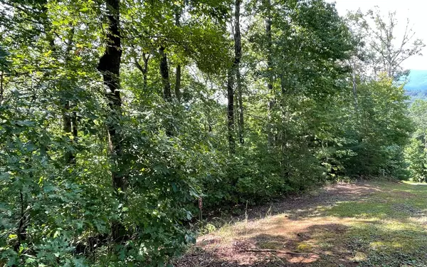 Hiawassee, GA 30546,Lot 9 Wolfpen Gap Sub