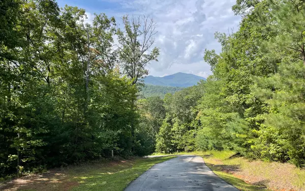 Hiawassee, GA 30546,Lot 9 Wolfpen Gap Sub