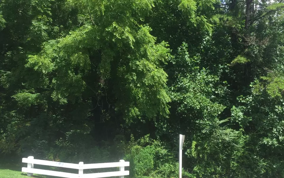 2 & 3 Chatuge Village Drive, Hayesville, NC 28904