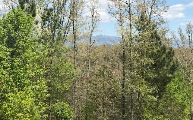 Murphy, NC 28906,LT 29 Brasstown View Road