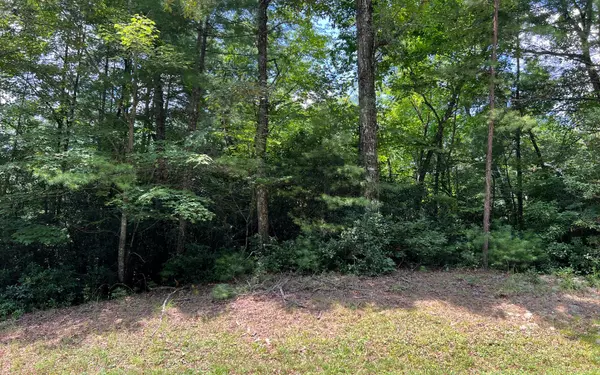 LT 32 Fires Creek Cove Road, Hayesville, NC 28904