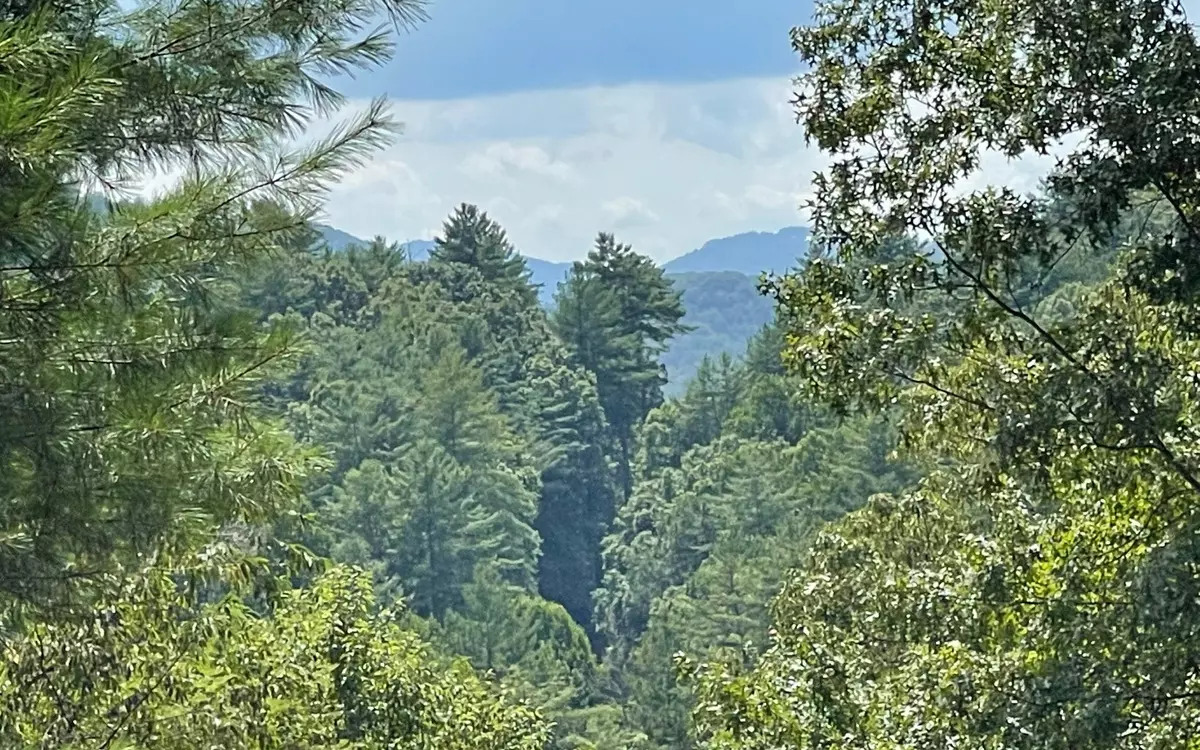 Hayesville, NC 28904,Lot 71 Fires Creek Cove Road