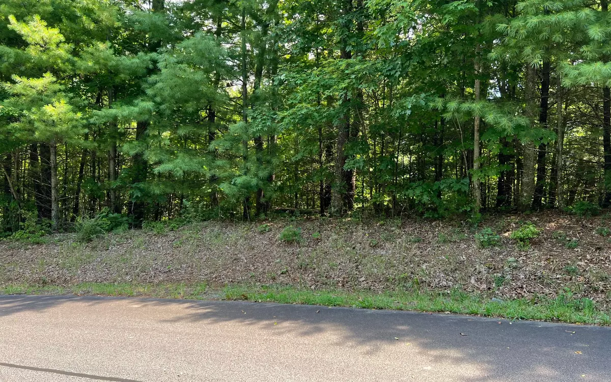 Hayesville, NC 28904,Lot 58 Fires Creek Cove Road