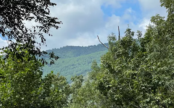 LT 73 Fires Creek Cove Road, Hayesville, NC 28904