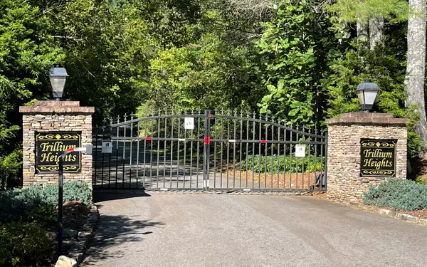 Brasstown, NC 28902,Lot 7 Trillium Heights