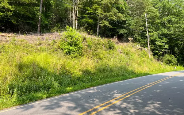 Hayesville, NC 28904,Lot 3 Fires Creek Road
