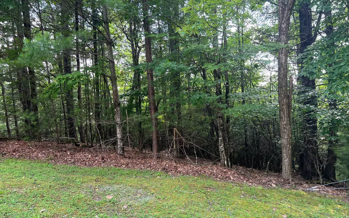 Hayesville, NC 28904,Lot 40 Double Knobs Drive