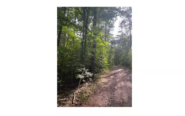 Murphy, NC 28906,LT 5 Sherwood Forest Drive