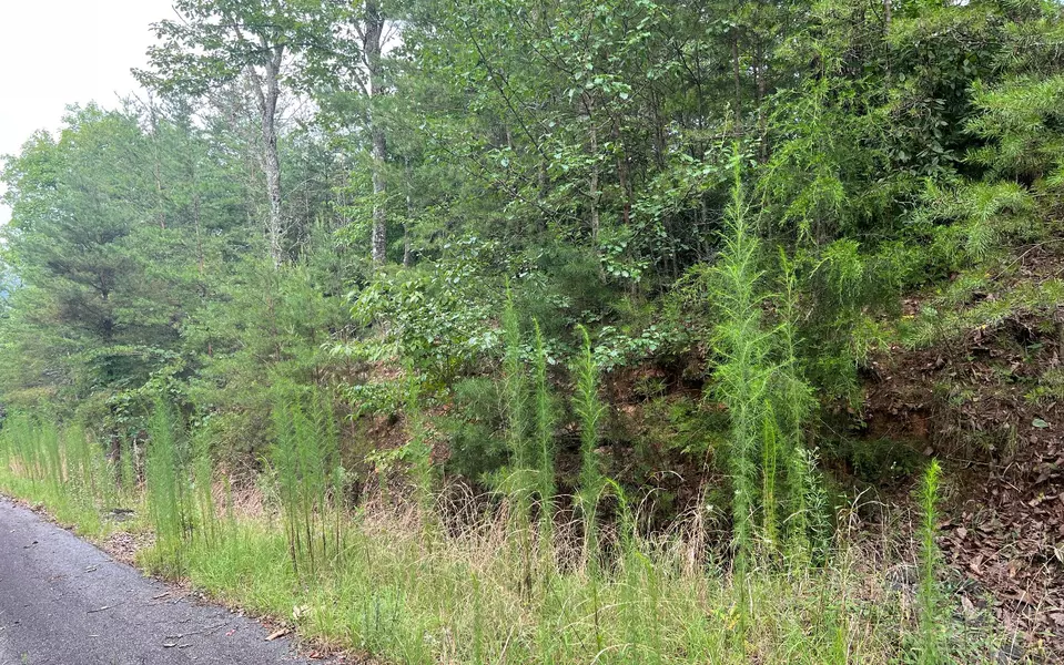 Lot 8 The Preserve At Beach Mountain, Brasstown, NC 28902