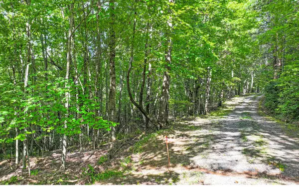 Mineral Bluff, GA 30559,Lot 1 North View Drive