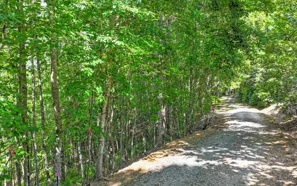 Mineral Bluff, GA 30559,0 North View Trail