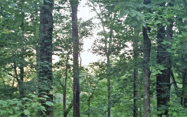 Hayesville, NC 28904,1 Oak Ridge South