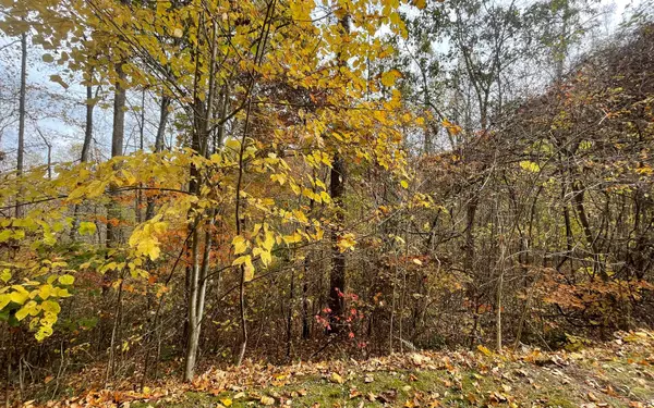 Lot 5A Anns Lane, Hayesville, NC 28904