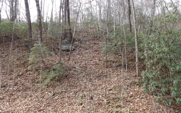 Clayton, GA 30525,Eastview Eastview Lane- Lot M