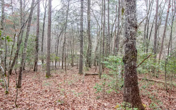 Murphy, NC 28906,00 Old Evans Road