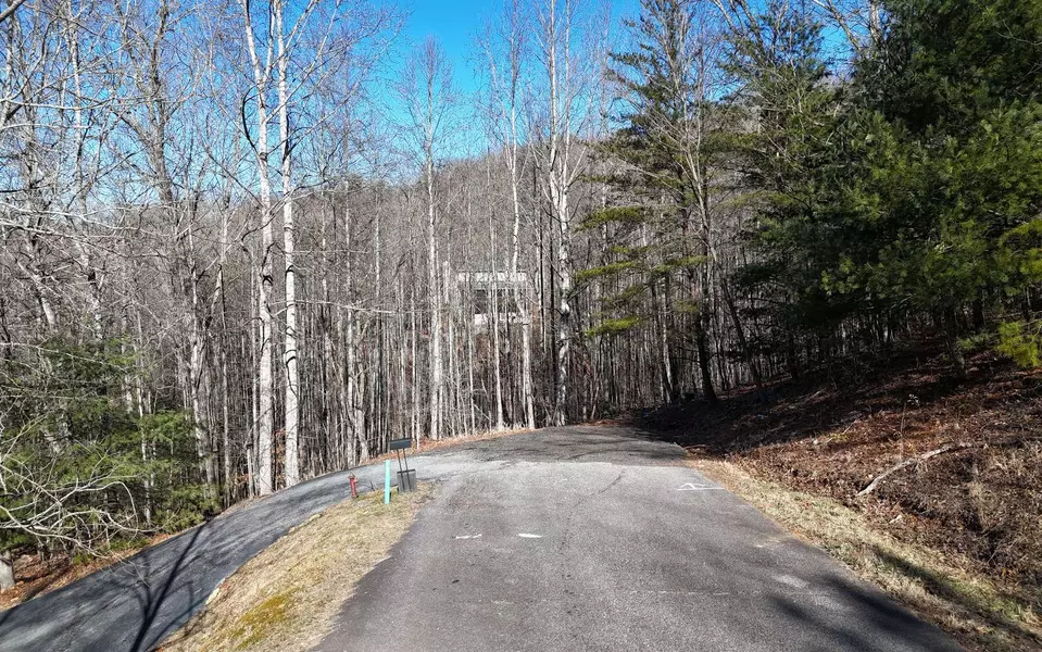 LOT37 Mountain Valley Lane, Blairsville, GA 30512