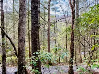 Blairsville, GA 30512,12.8 ac Fisher Field Road