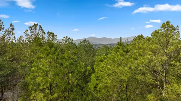 Copperhill, TN 37317,120 Hummingbird Way