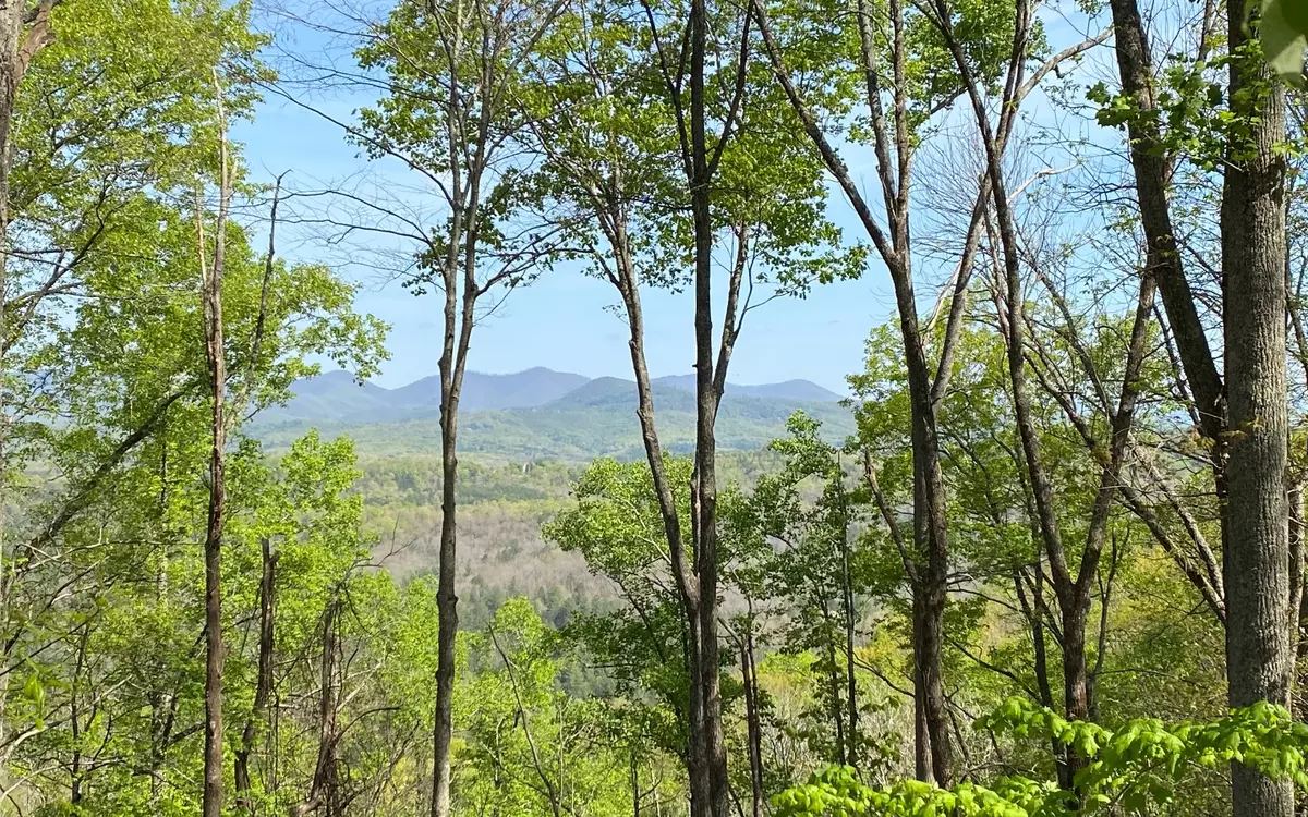 Mineral Bluff, GA 30559,LOT19 Raven Ridge Circle