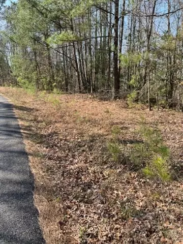 Ellijay, GA 30540,0 Lakeland Drive