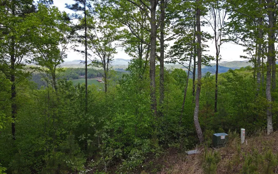 Lot 88 Thirteen Hundred, Blairsville, GA 30512