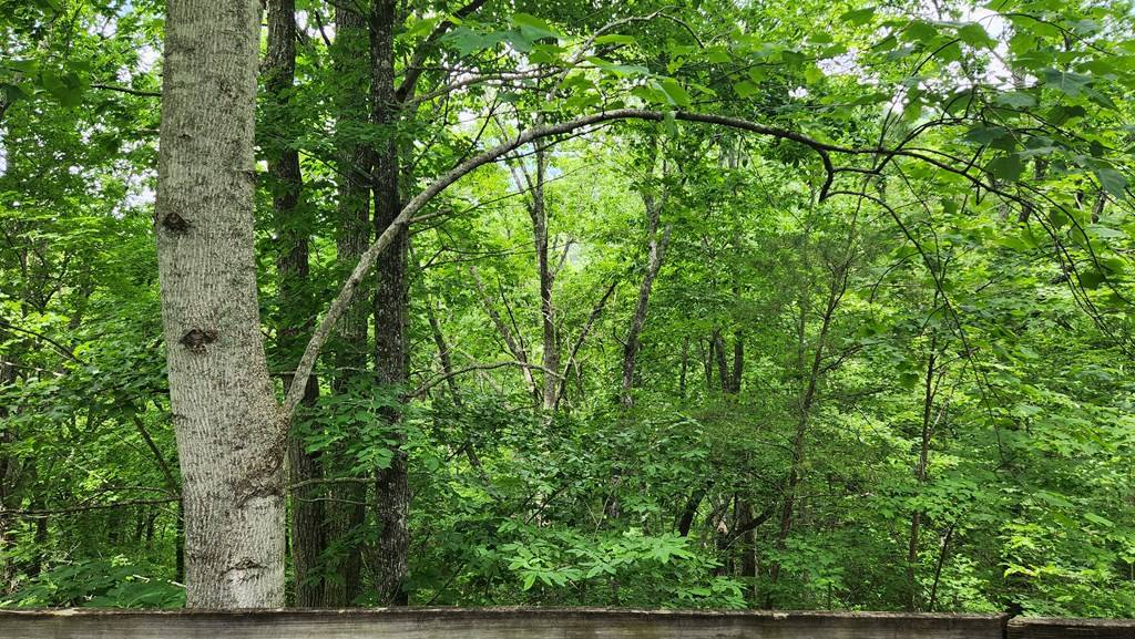 Turtletown, TN 37391,18 Sassafras Ridge Road