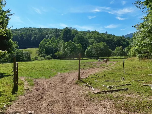 Blairsville, GA 30512,13.94AC Mount Pleasant Church Road