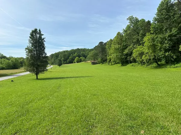 Warne, NC 28909,Lot 43 Prosperity Drive