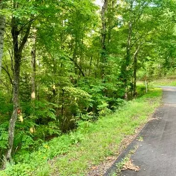 Warne, NC 28909,Lot 9 Wildflower Ridge