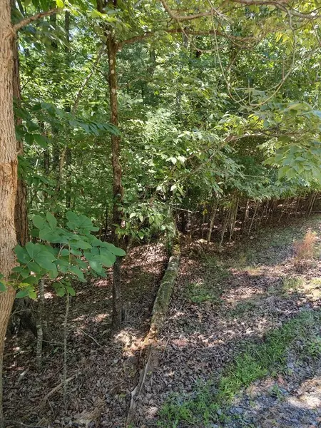 Lot 853 Matrix Lane, Ellijay, GA 30540