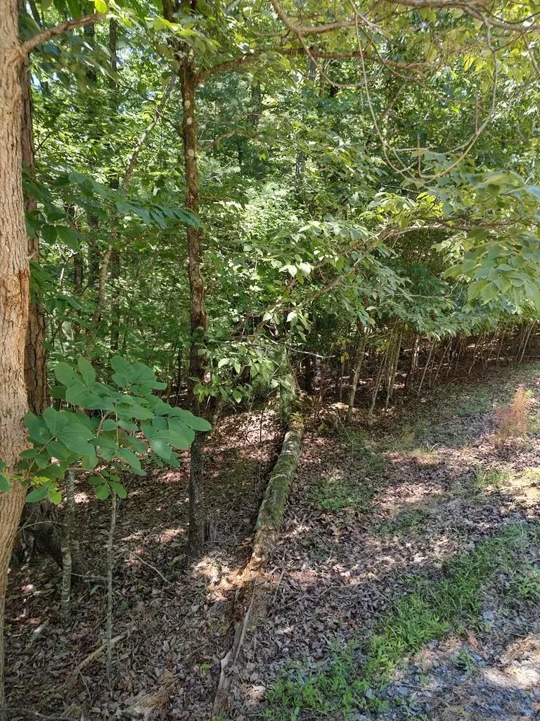 Ellijay, GA 30540,Lot 853 Matrix Lane