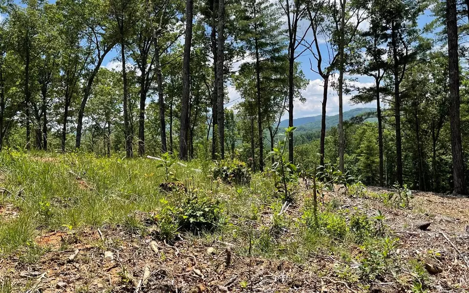 LOT 95 The Ridges, Morganton, GA 30560