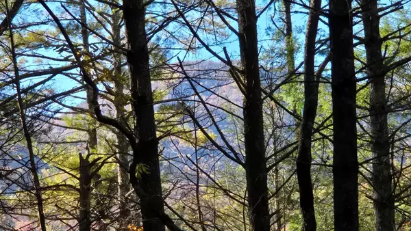 Copperhill, TN 37317,000 Tumbling Creek Road