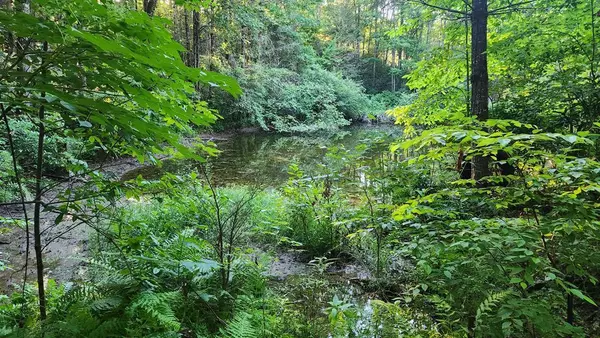 Copperhill, TN 37317,000 Tumbling Creek Road