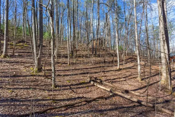 Ellijay, GA 30536,0 Sleepy Hollow Road