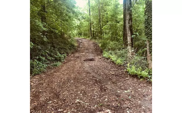 Hiawassee, GA 30546,LT 16 Omega Way