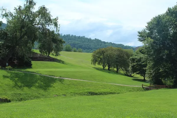 Hayesville, MD 20894,Lot 12k Mountain Harbour