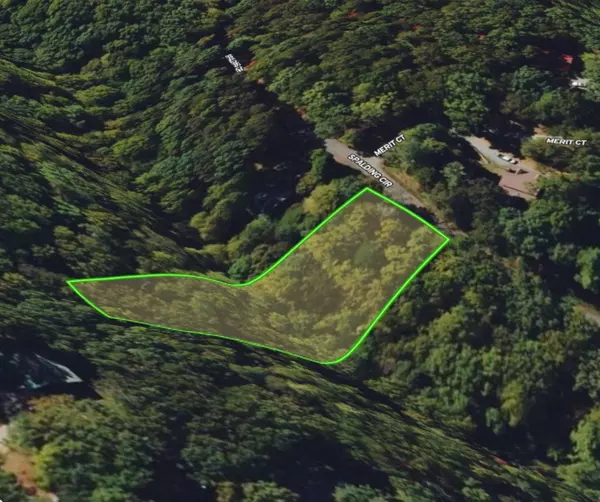 Ellijay, GA 30540,1194 Spalding Circle