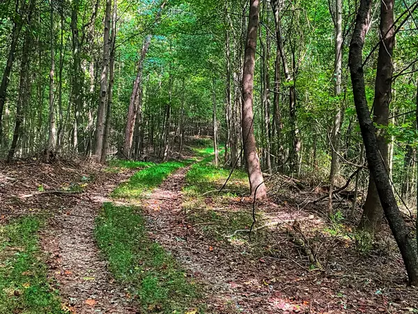 Ellijay, GA 30540,241 AC Legion Road