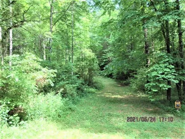 L17 Owl Creek & Panther,  Murphy,  NC 28906