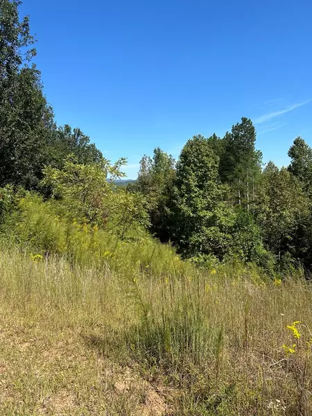 24 My Easy Street, Murphy, NC 28906