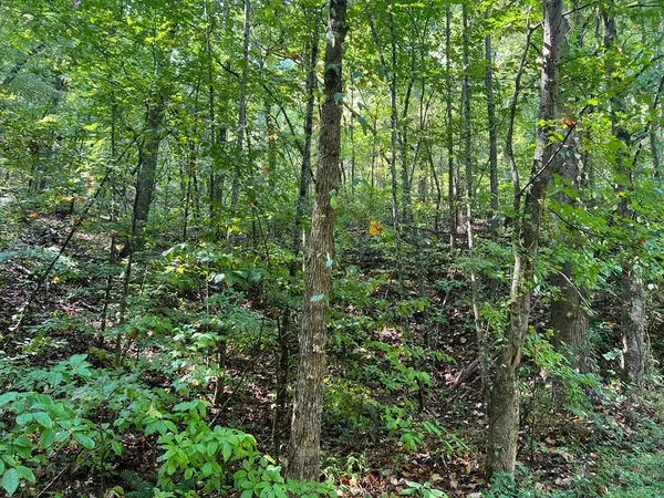 Ranger, GA 30734,894 Newman Court