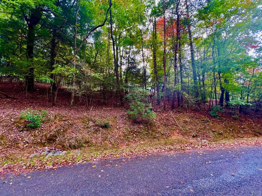 Ellijay, GA 30540,548 North Satsuma Court