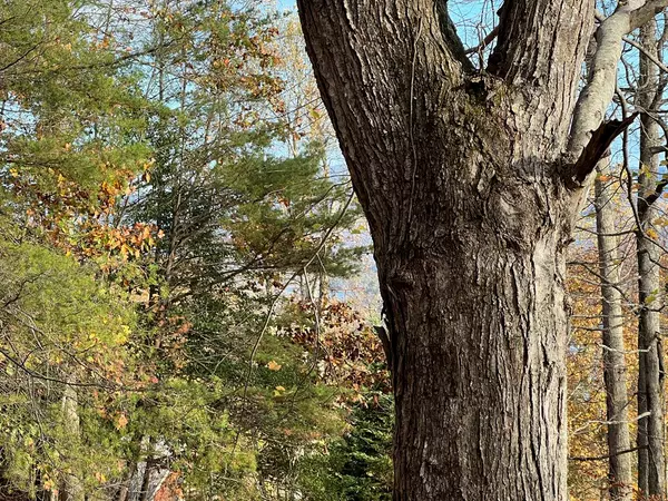 Hiawassee, GA 30546,Tract 1 Hidden Summit Road