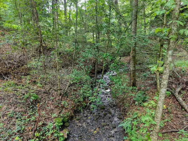 Clayton, GA 30525,2479 Plum Orchard Road