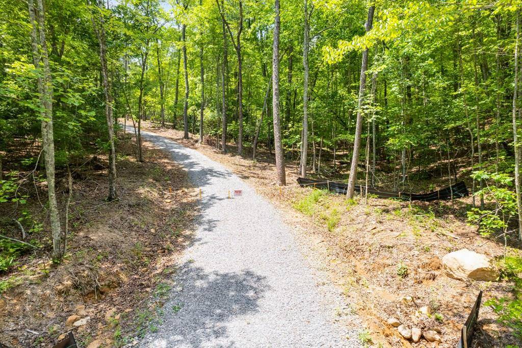 0 Possum Poke Road, Ellijay, GA 30536