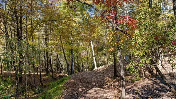 Epworth, GA 30541,184 Spence Road