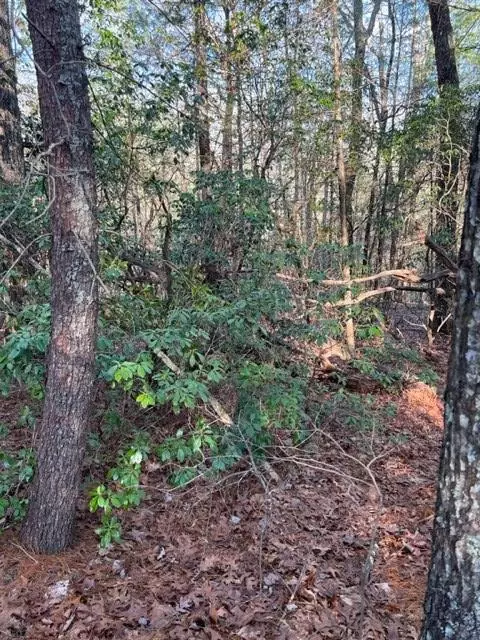 Ellijay, GA 30536,Lot 18 Frances Drive